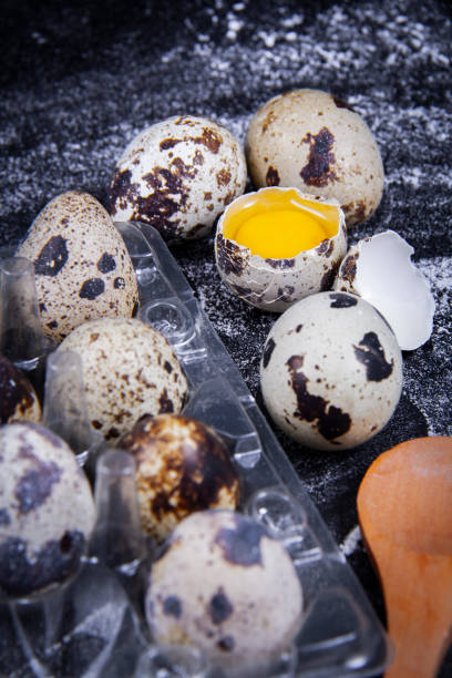 istock Healthy or broken quail eggs next to each other regularly or irregularly 1263196750