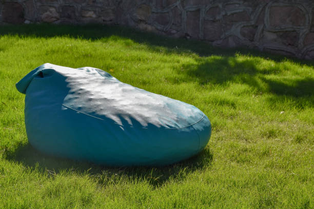istock Bean bag at the garden 1263204946