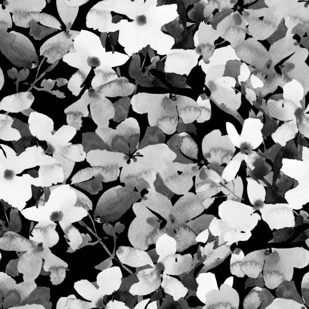 istock Watercolor floral seamless pattern. Hand drawn summer background made of meadow flowers. Flower buds blooming. Black and white botanical drawing for fabric and textile. 1263214579