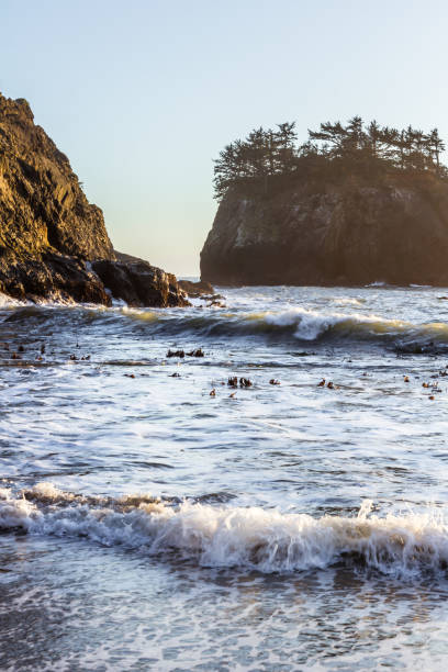 istock Secret Beach in the southern Oregon coast 1263214763