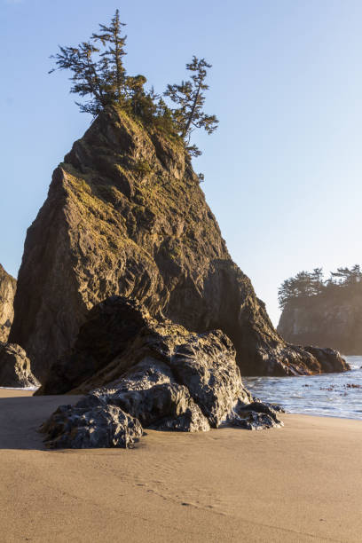 istock Secret Beach in the southern Oregon coast 1263214806