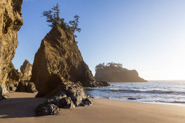 istock Secret Beach in the southern Oregon coast 1263215358
