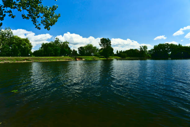 A view of a riverbank with many trees and grace with a background of blue sky with clouds in a summer sunny day stock photo