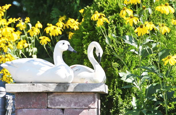 istock Swan Statue and Flowers 1263221699