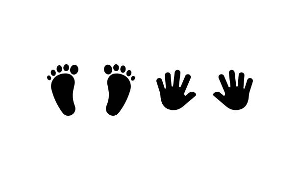ilustrações de stock, clip art, desenhos animados e ícones de childs foot and hand prints icon. vector on isolated white background. eps 10 - baby