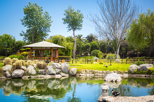 Beautiful japanese garden with reflections in the pond in La Serena, Chile