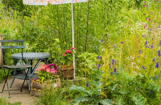 istock Beautiful Garden with wild Flowers 1263229153