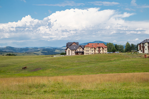 Zlatibor, Serbia - July 25. 2020 Hotels and horses on a meadow graze on a sunny summer day. Landscape and nature resort
