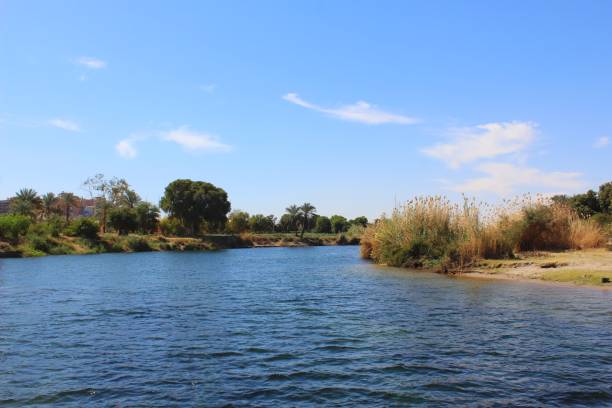 istock Calm Nile water with grass on river coast and blue sky in Egypt 1263243571