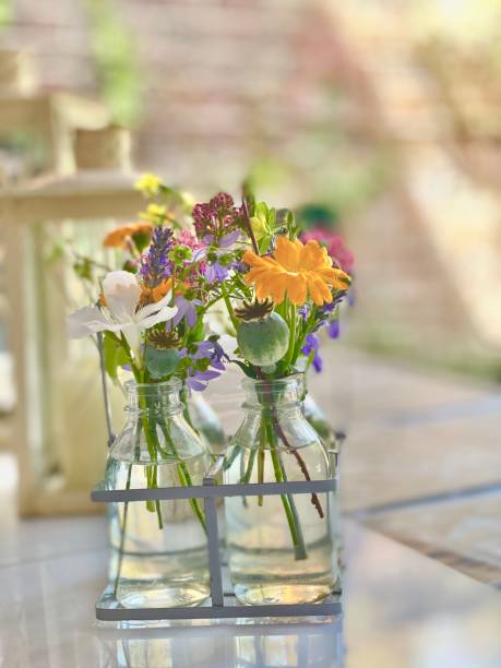 istock Summer garden flowers 1263245715