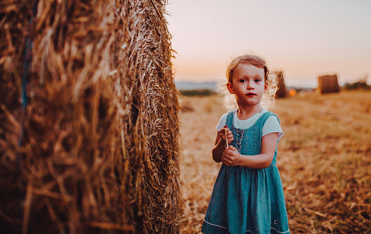 The girl and the wheat harvest