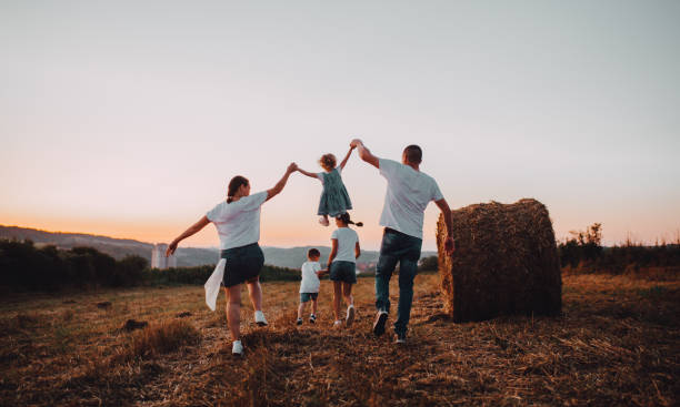 Distant view of family exploring amidst grassy field in meadow against sky during sunset