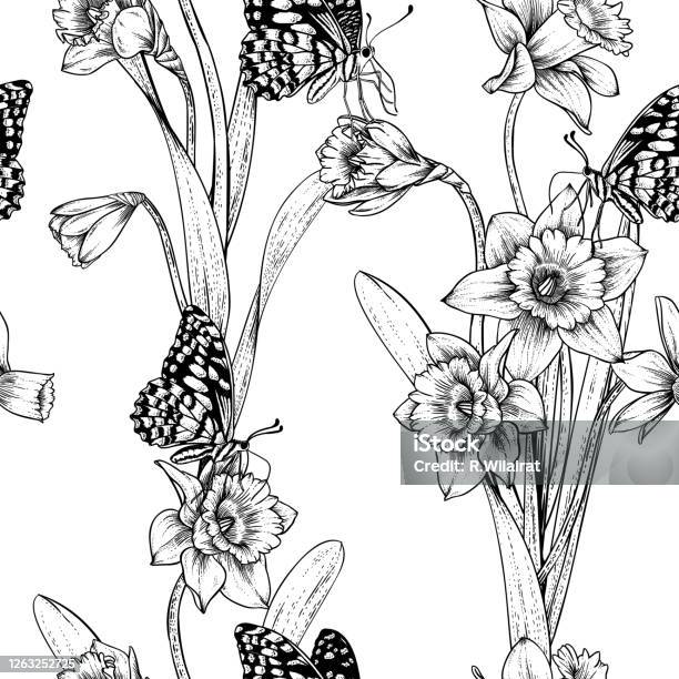 Ilustración de Conjunto Decorativo De La Flor Del Bosquejo Dibujos De Flores De Narciso O Narciso Ilustración de Conjunto Decorativo De La Flor Del Bosquejo Dibujos De Flores De Narciso O Narciso