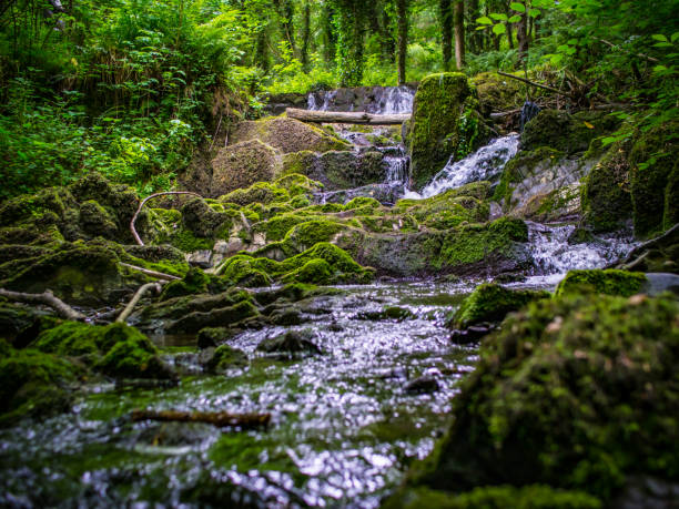 istock Fresh Waterfall in a Green Irish Forest 1263256334