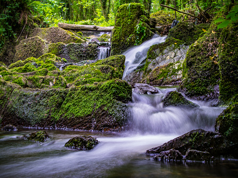 A small creek with beautiful waterfalls runs along a lush forest floor. Moss and vibrant green plants and trees grow around the river bank. A long exposure makes the water soft and white as it falls around the moss covered boulders.