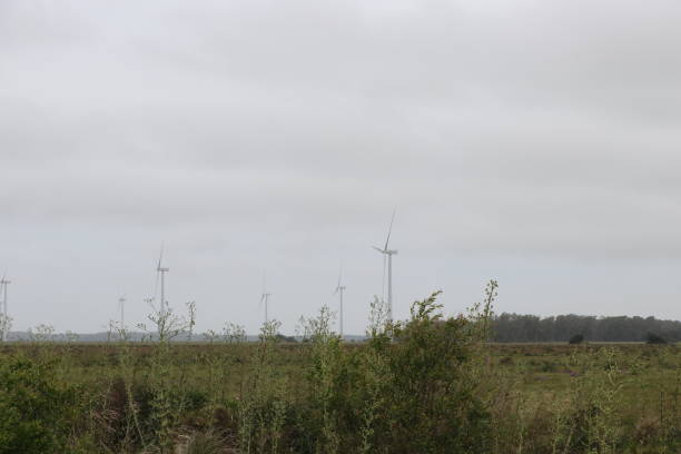 istock Park of wind power generators - Clean energy 1263256735