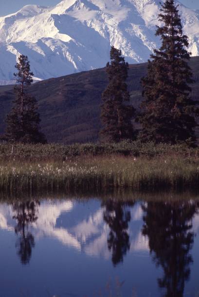 istock Perfection Reflection - The Power of THree 1263260414