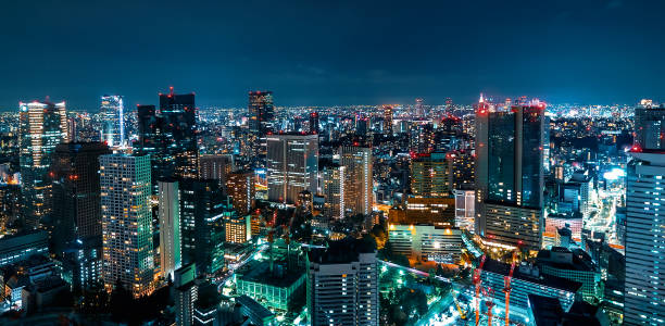 istock Tokyo cityscape aerial view 1263261866