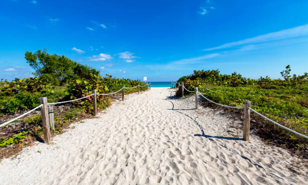 istock Entrance to a white sandy beach 1263261883