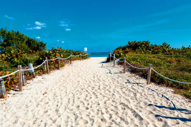 istock Entrance to a white sandy beach 1263261899