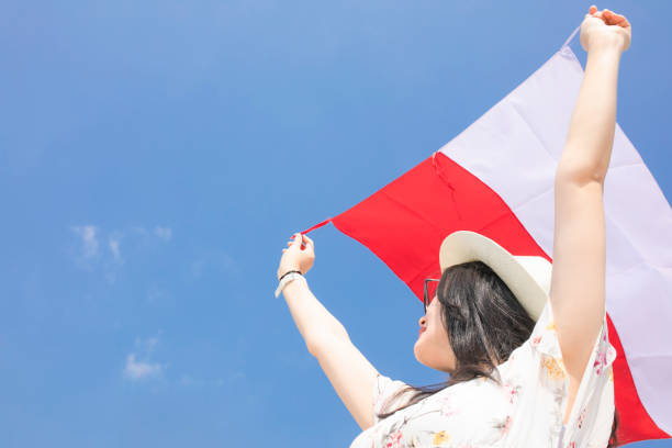 A danish denmark flag waving in blue sky background