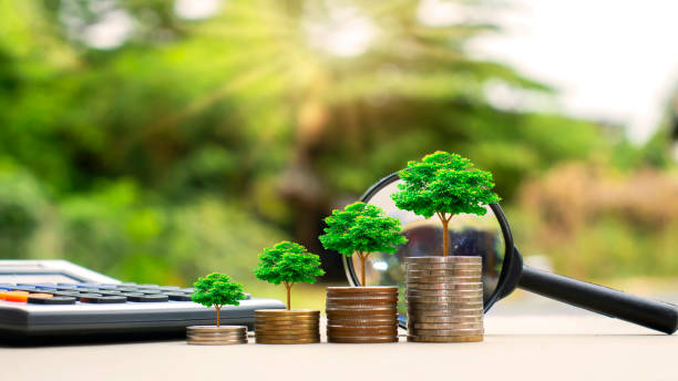 istock A small tree that grows on a pile of coins and a calculator, including a black magnifying glass on a wooden floor. Financial concepts, investments, and financial growth. 1263272146