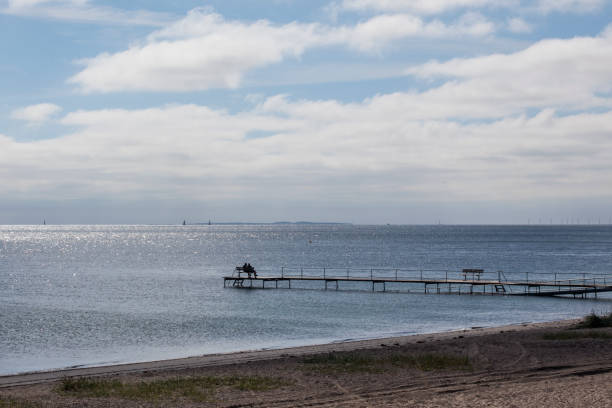 Moesgård Beach – Free Stock Photo