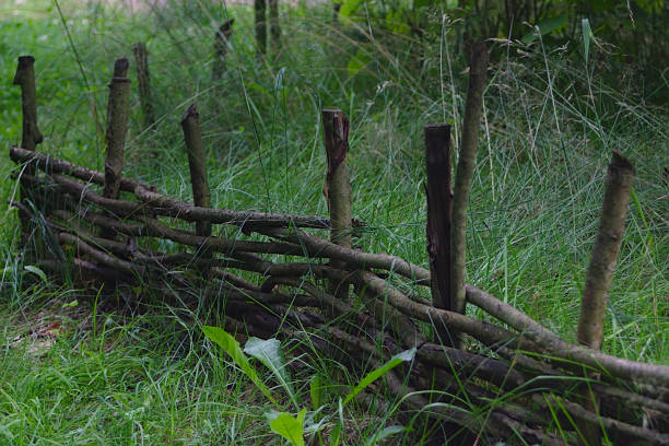 istock a wicker fence on a green lawn 1263300598
