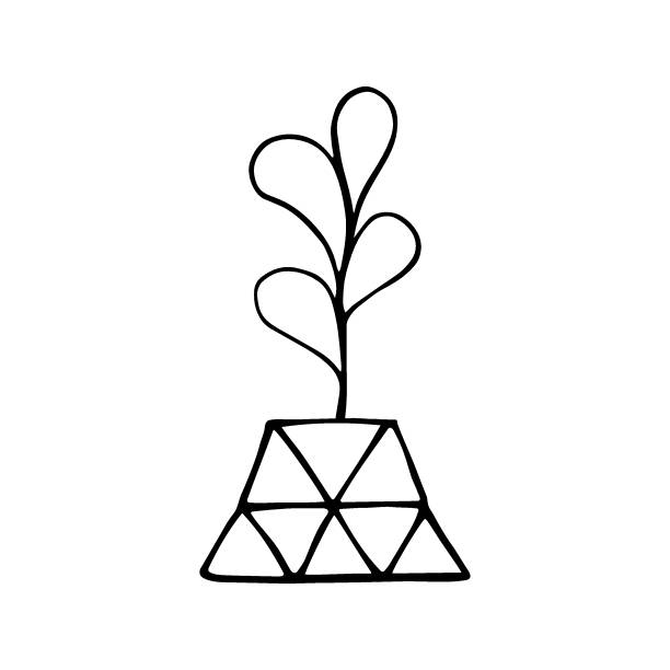 Plant Drawing Triangular 450+ Triangular Vase Stock Photos, Pictures & Royalty-Free Images - iStock