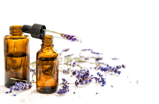 istock Herbal oil dried lavender flowes white background 1263308791