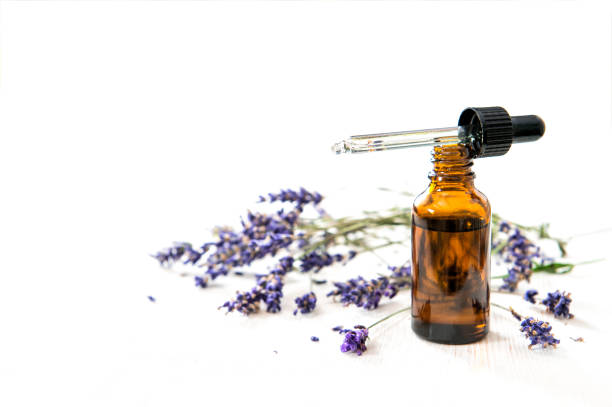 Herbal lavender oil dried laverder flowes white background