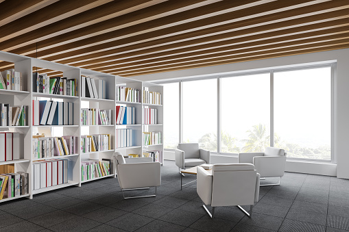 Corner of panoramic office waiting room with white walls, carpeted floor, comfortable armchairs standing near coffee table and bookcase. Blurry tropical view. 3d rendering