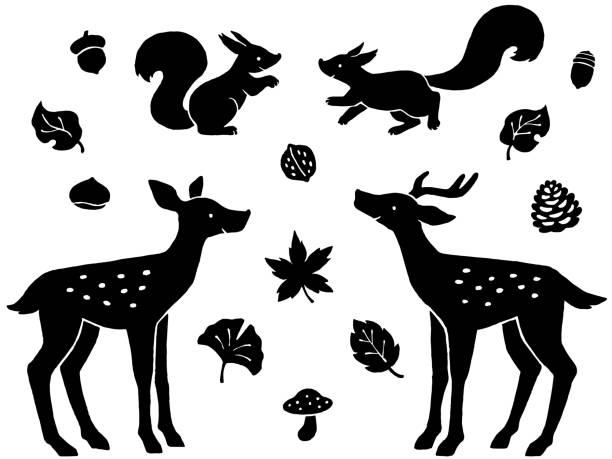 사슴과 다람쥐, 숲 잎, 나무 견과류의 실루엣 일러스트 세트 - stag deer doe cartoon stock illustrations