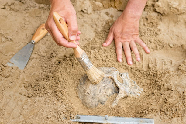 istock Close-Up Of Hands Working On Sand 1263317304