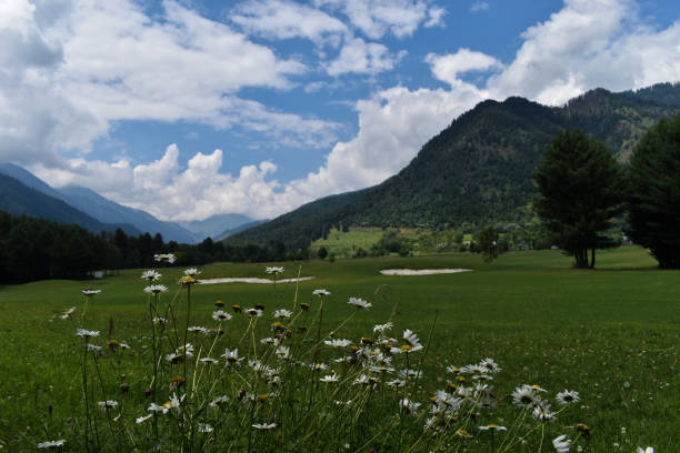 istock A beautiful landscape view at Kashmir India 1263320516