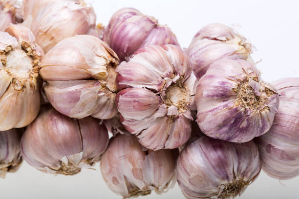 string of garlic isolated on white background - garlic hanging string vegetable imagens e fotografias de stock