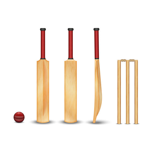 ilustrações de stock, clip art, desenhos animados e ícones de the wooden bat, wicket, the ball for the game of cricket, realistic 3d vector models with wooden texture of objects isolated on white, a set of sports equipment for cricket - wicket