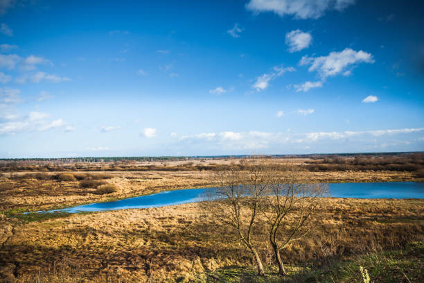 istock autumnal view on meadow with little pound 1263324417