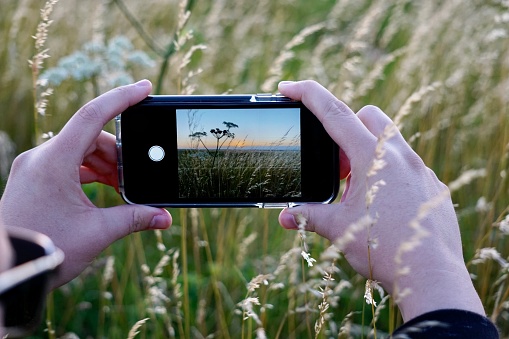 Capturing a photo of a photo being taken beneath the long grass