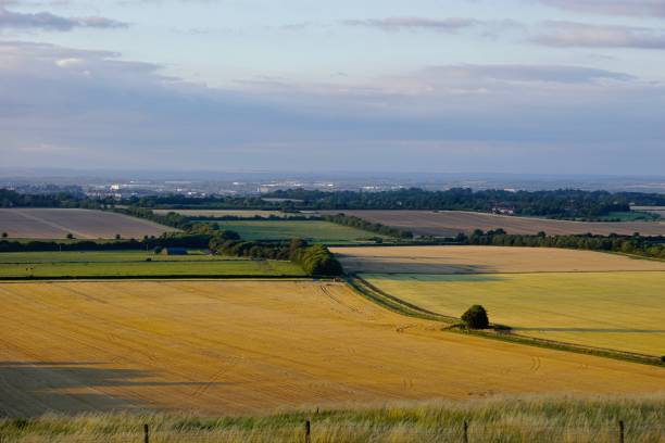 istock Agricultural farmland 1263325300