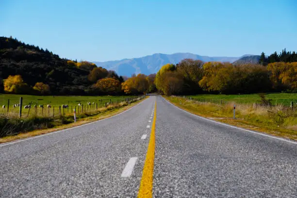 Beautiful long road at Newzealand.