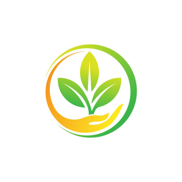 ilustracja wektorowa projektu logo liścia. abstrakcyjny wektor logo liści w koncepcji kreatywnego projektowania dla przyrody, rolnictwa i biznesu rolniczego. drzewo liść logo, ikona, znak i symbol wektor ilustracji projektu - environment stock illustrations