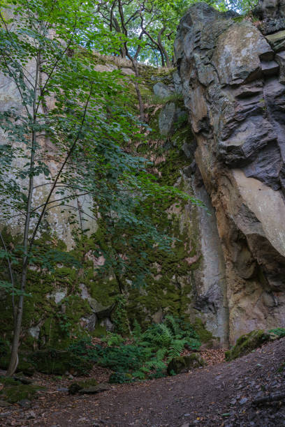 istock Close view on a Rock wall with autumn forest in the evening light. 1263329479