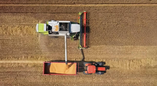 vista aerea aerea aerea della mietitrice che raccoglie grano e scarica i cereali nel camion - semi truck foto e immagini stock