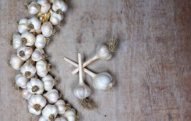 fresh harvesting garlic from out of the garden. braided garlic or garlic string. harvested vegetables, organic. decorative food at wooden background. - garlic hanging string vegetable imagens e fotografias de stock