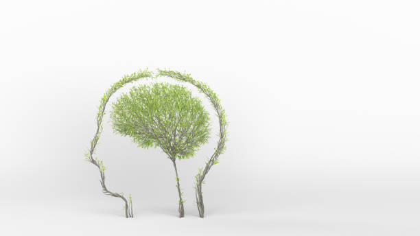 istock Growing Tree in a shape of human brain inside a head. Eco Concept. 1263336429
