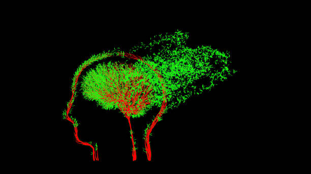 istock Growing Tree in a shape of human brain inside a head. Eco Concept. 1263336505