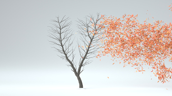 Growing Tree in a shape of Heart. 3D rendering.