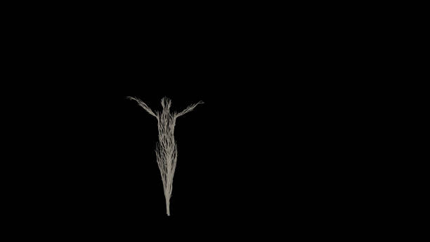 Illustrated buds and young leaves growing on a photograph of a bare branch of an autumn tree - life cycle, new beginnings and nature awakening concept