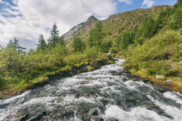 istock Ak-kem river. Mountain Altai. Russia 1263341808
